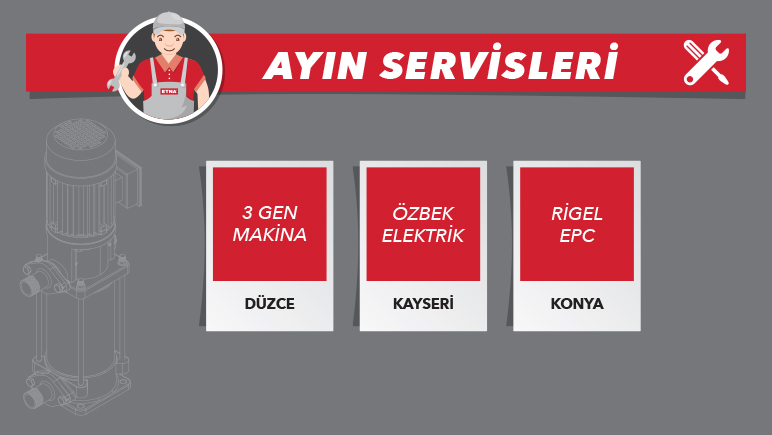 ayın servisi
