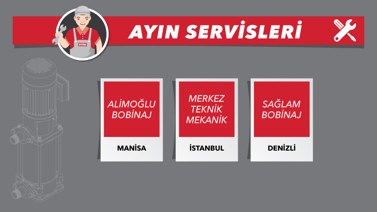 ayın servisi