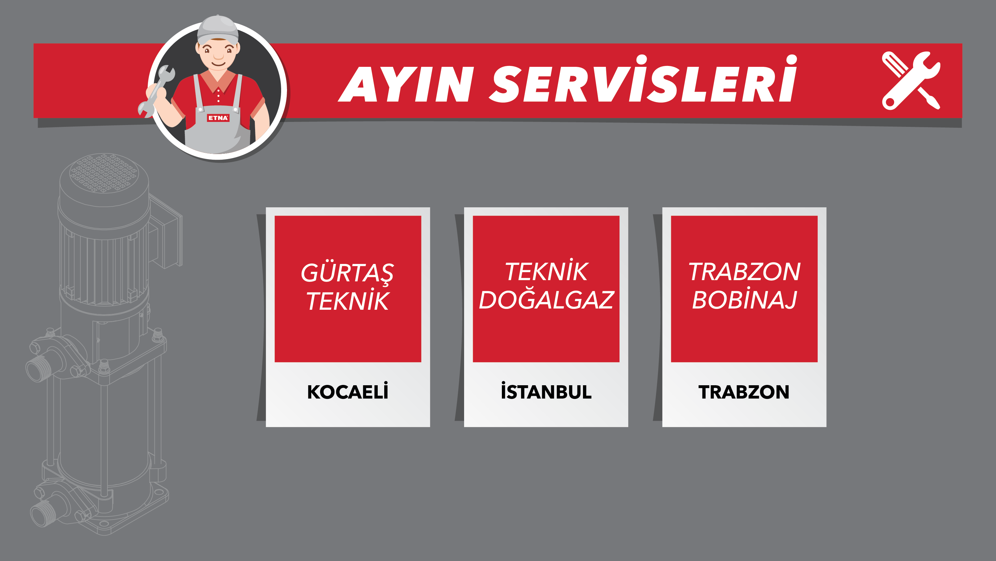 ayın servisi
