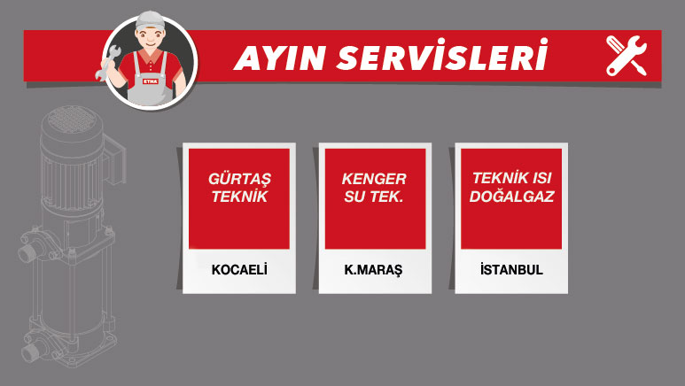 ayın servisi